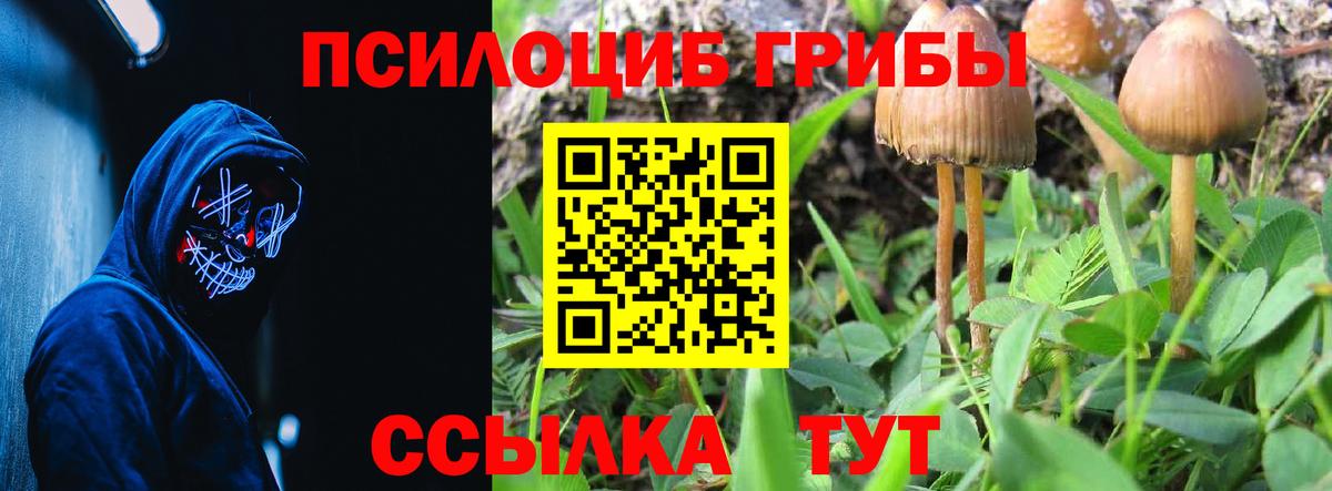 Псилоцибиновые грибы GOLDEN TEACHER Муравленко