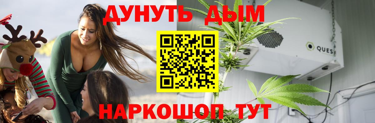 Конопля планчик  Вход с VPN  МАРИХУАНА сатива  Бошки марихуана Amnesia  Муравленко 